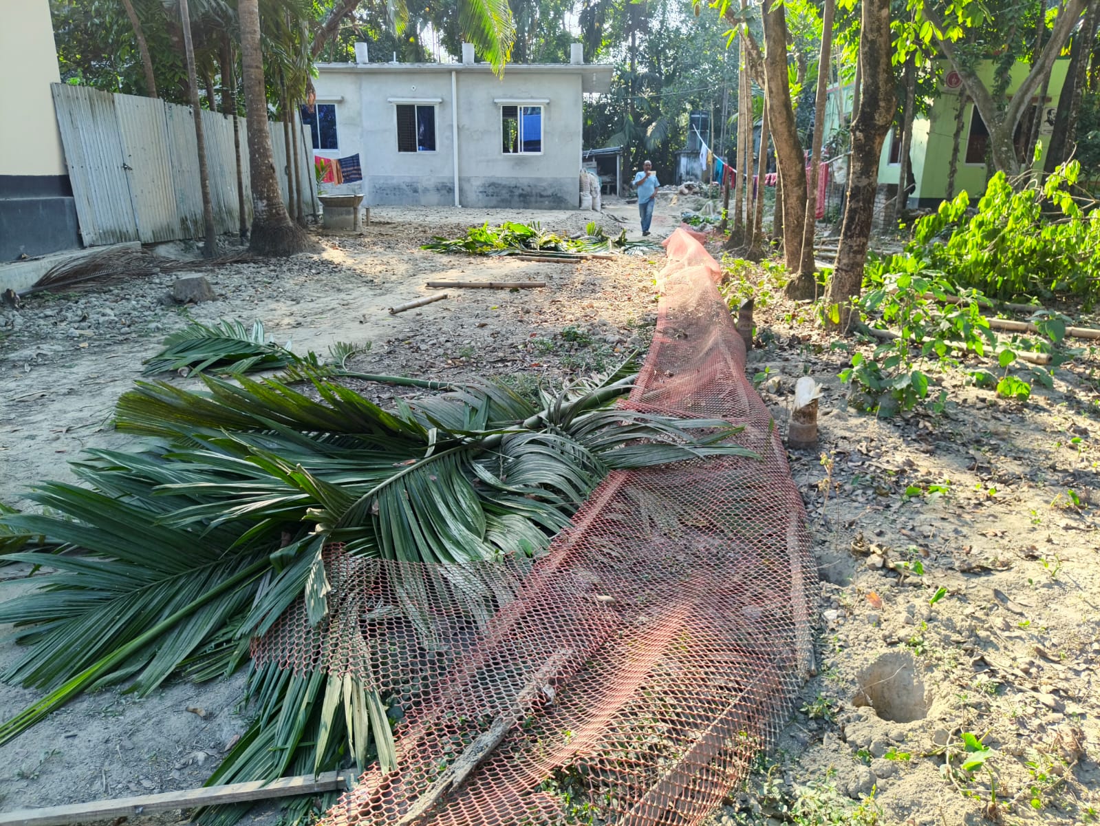 সরিষাবাড়ীতে যুবদল নেতার দাপটে গাছ কর্তন ও বাউন্ডারি ভাঙচুরের অভিযোগ