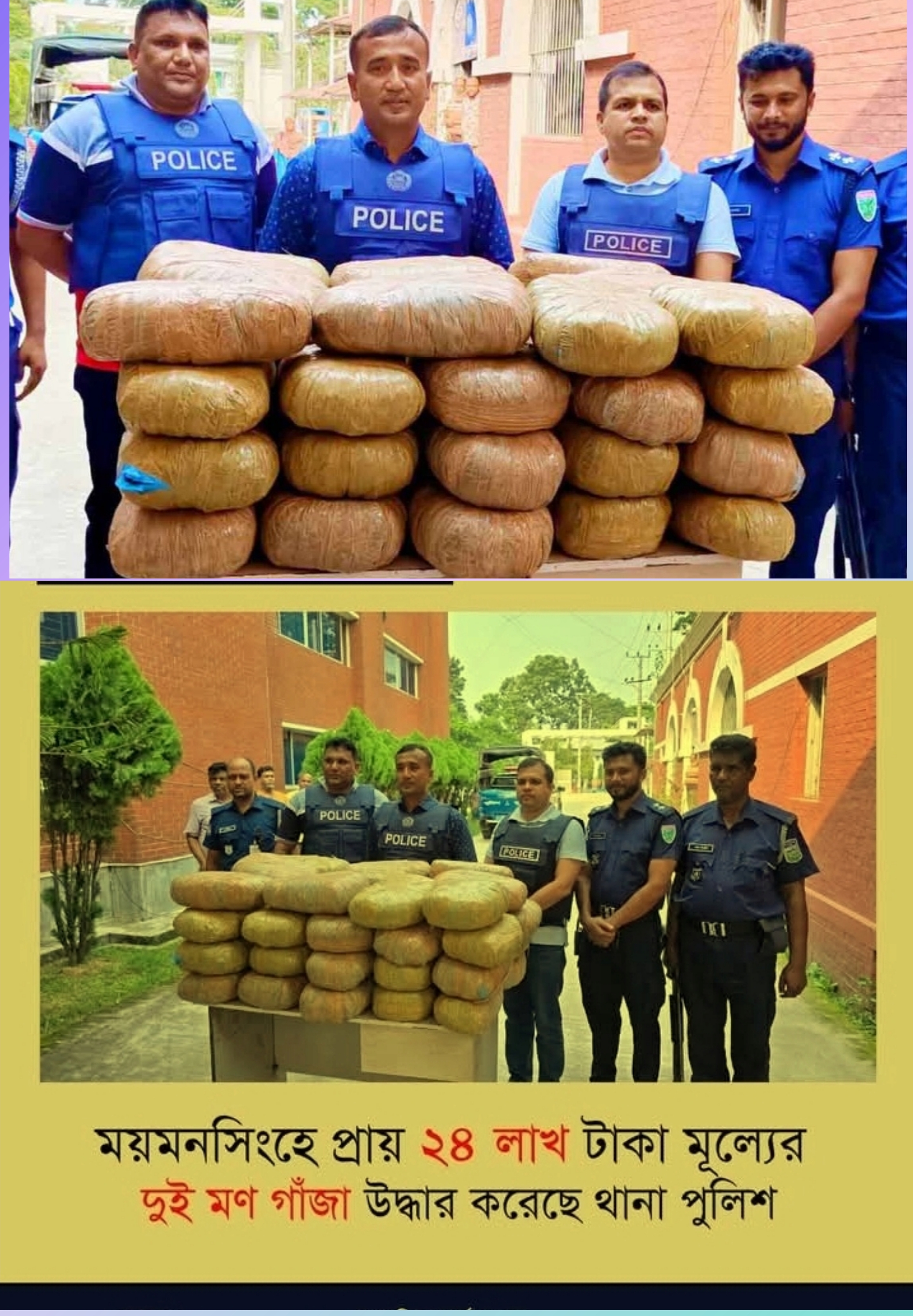 ময়মনসিংহে পুলিশের  অভিযানে ২৪ লাখ টাকার গাঁজা উদ্ধার।