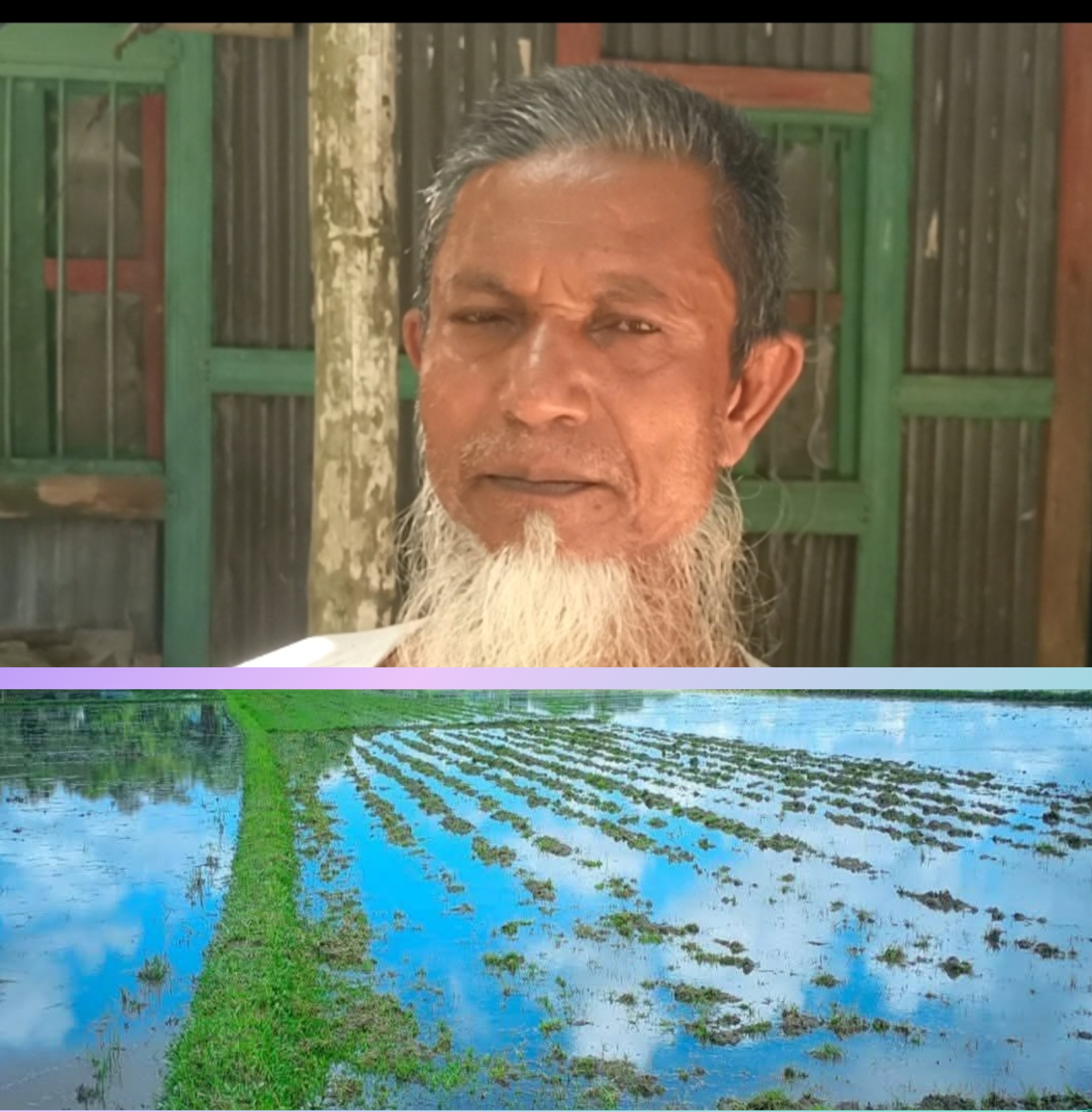 কেন্দুয়ায় ওয়ার্ড বিএনপির সভাপতি , পরশ মিয়ার বিরুদ্ধে জমি দখল,চাঁদা দাবি ও হুমকি,ঝগড়ার অভিযোগ