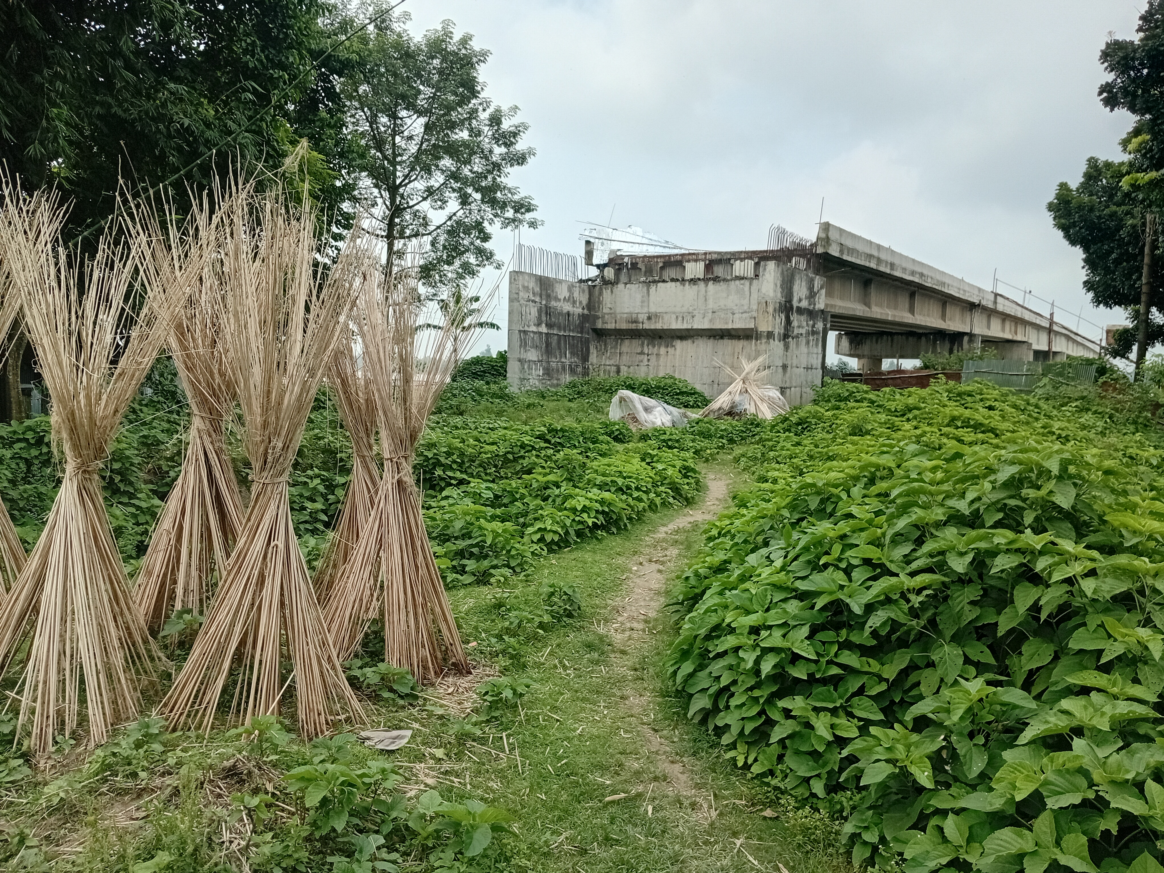 সংযোগ সড়কের জমি নিয়ে জটিলতা, এ বছর চালু হচ্ছেনা সোনাহাট সড়ক সেতু।